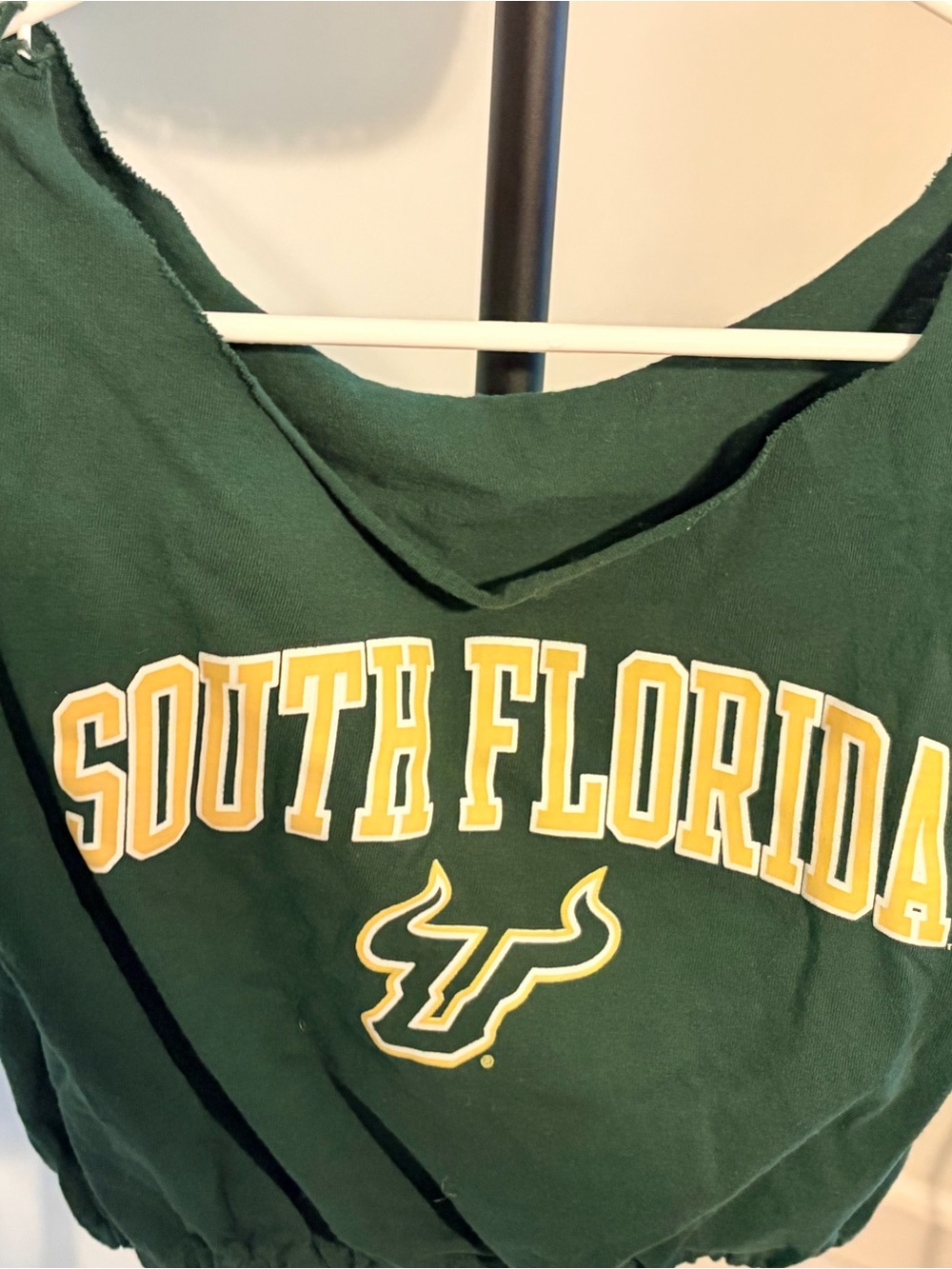 Clothing Item Misclassified